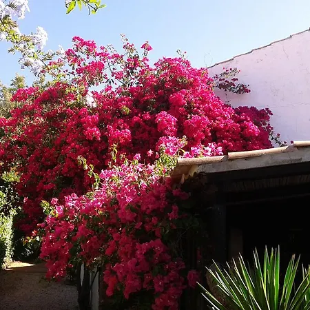 Quinta Das Flores אלבופיירה