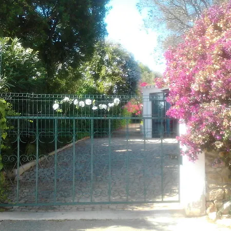 别墅 金塔弗洛雷斯别墅 *