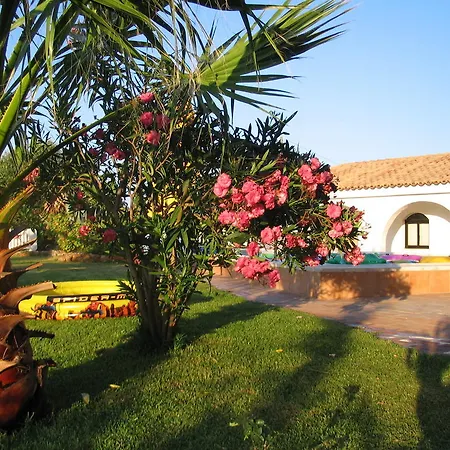 别墅 金塔弗洛雷斯别墅 *